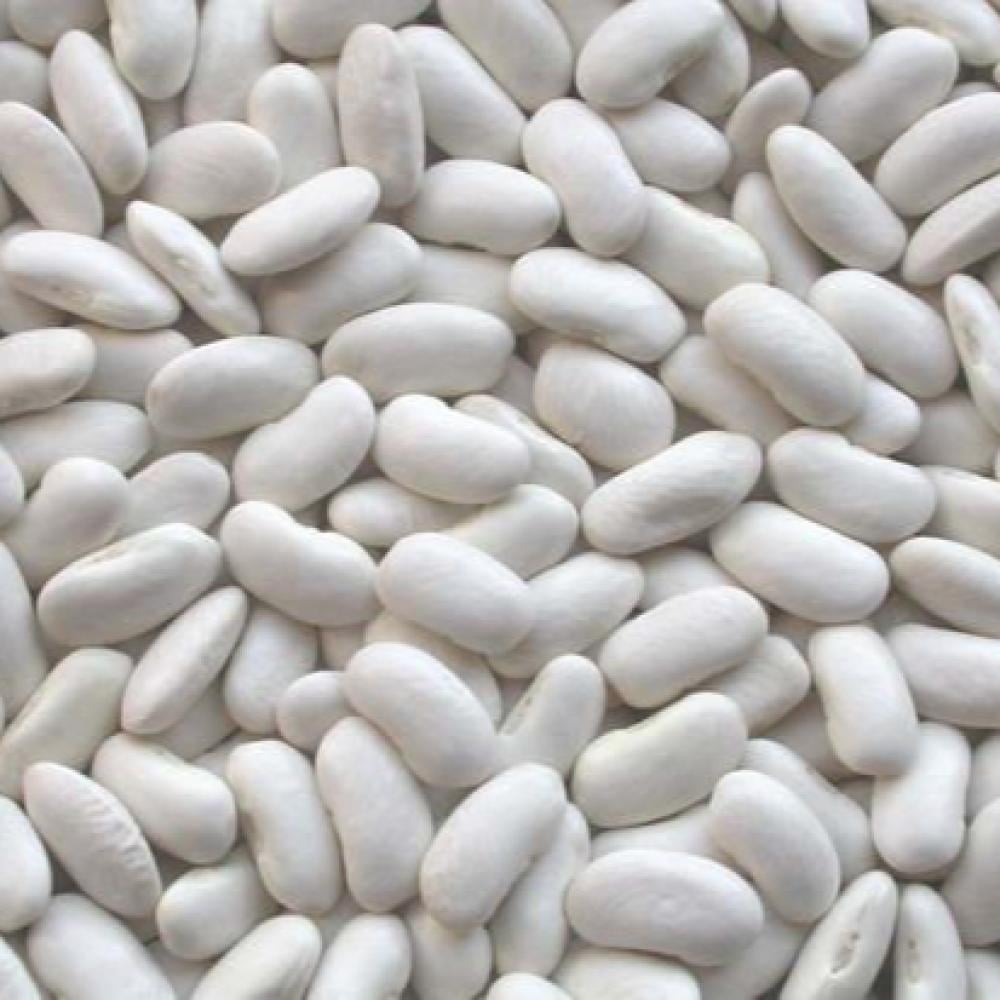 فاصوليا بيضاء 