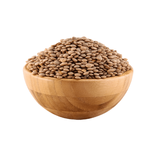 عدس حب كبير