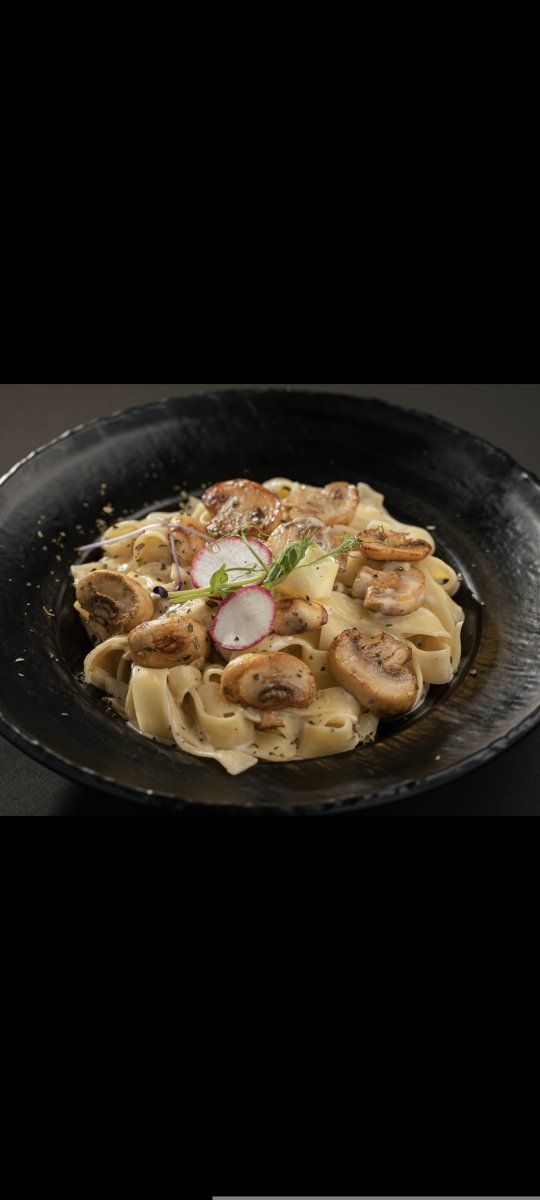 فوتوتشيني الفريدو 