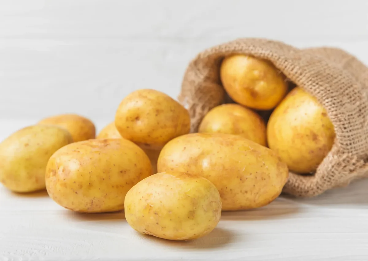 بطاطا  