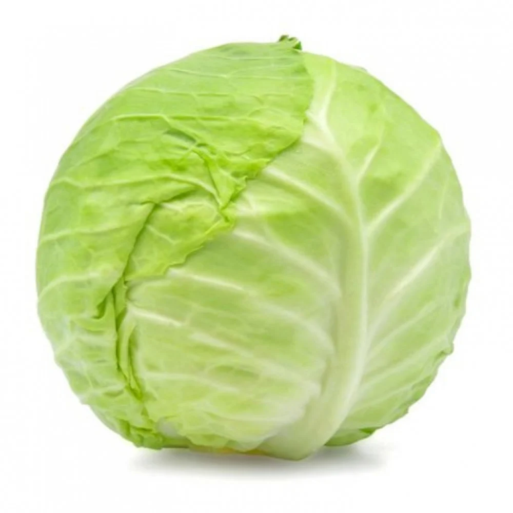 ملفوف 