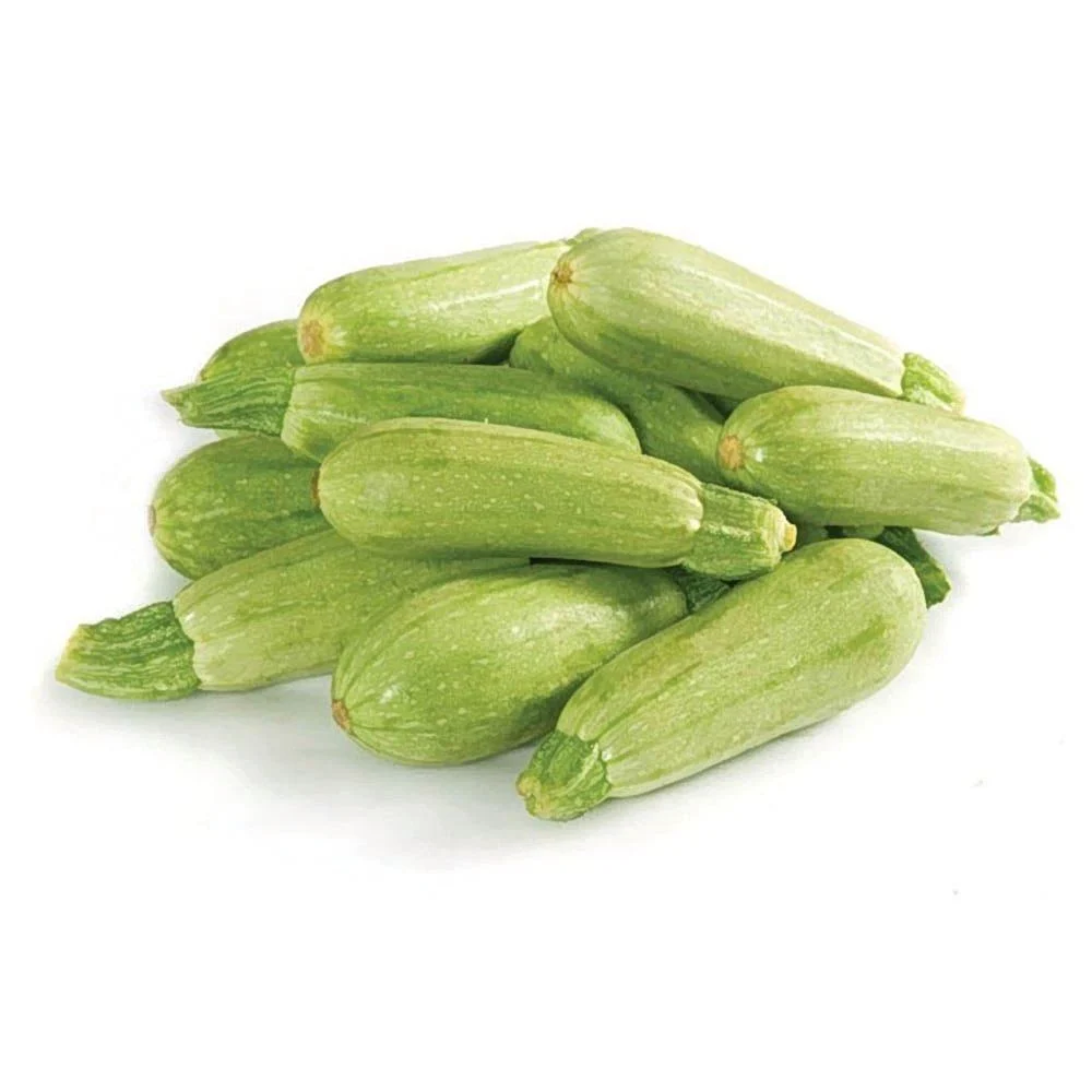 كوسا 