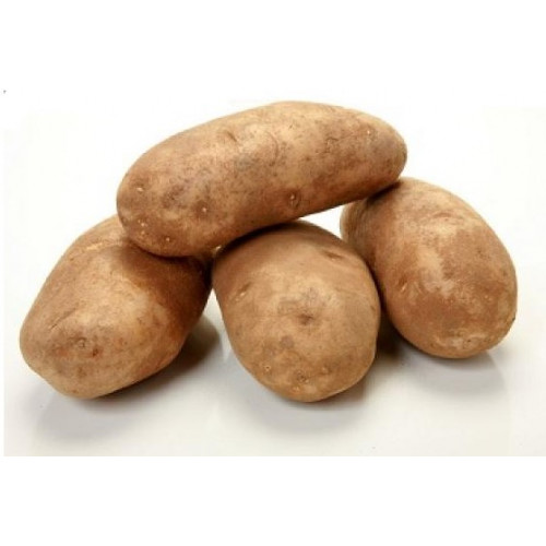 بطاطا بلدية 