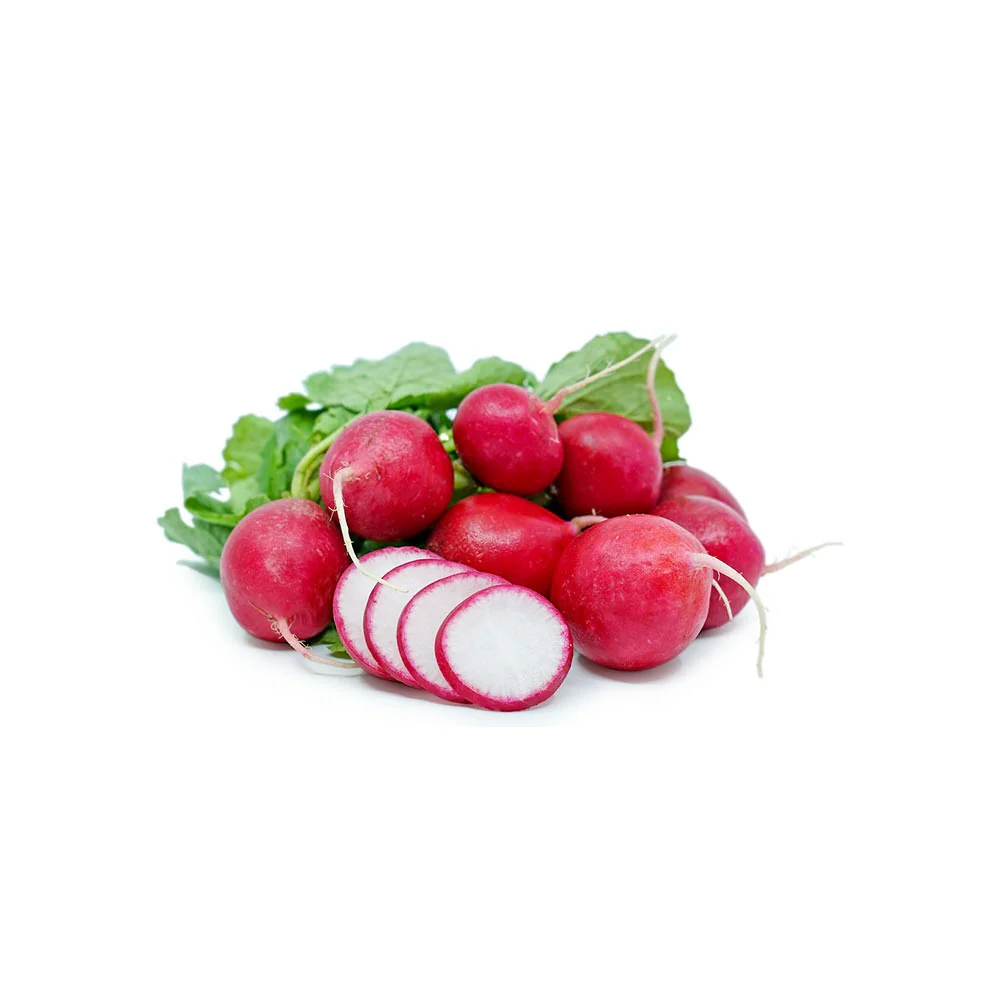 فجل مبكت