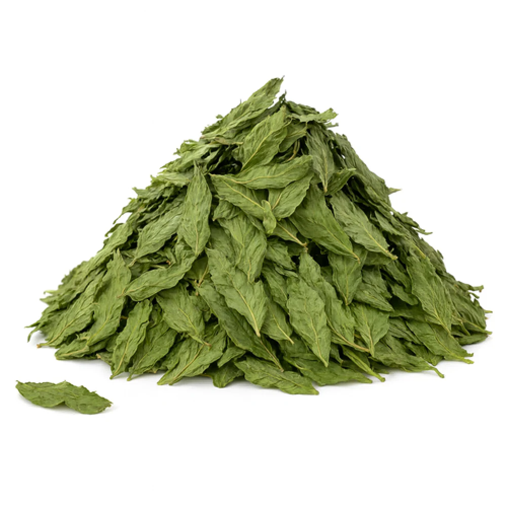 ملوخية 