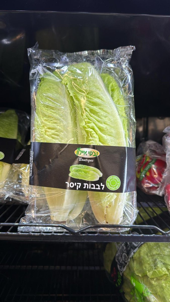 لب الخس 
