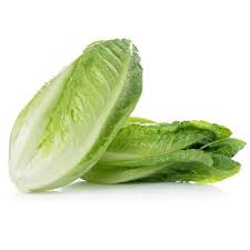 خس 
