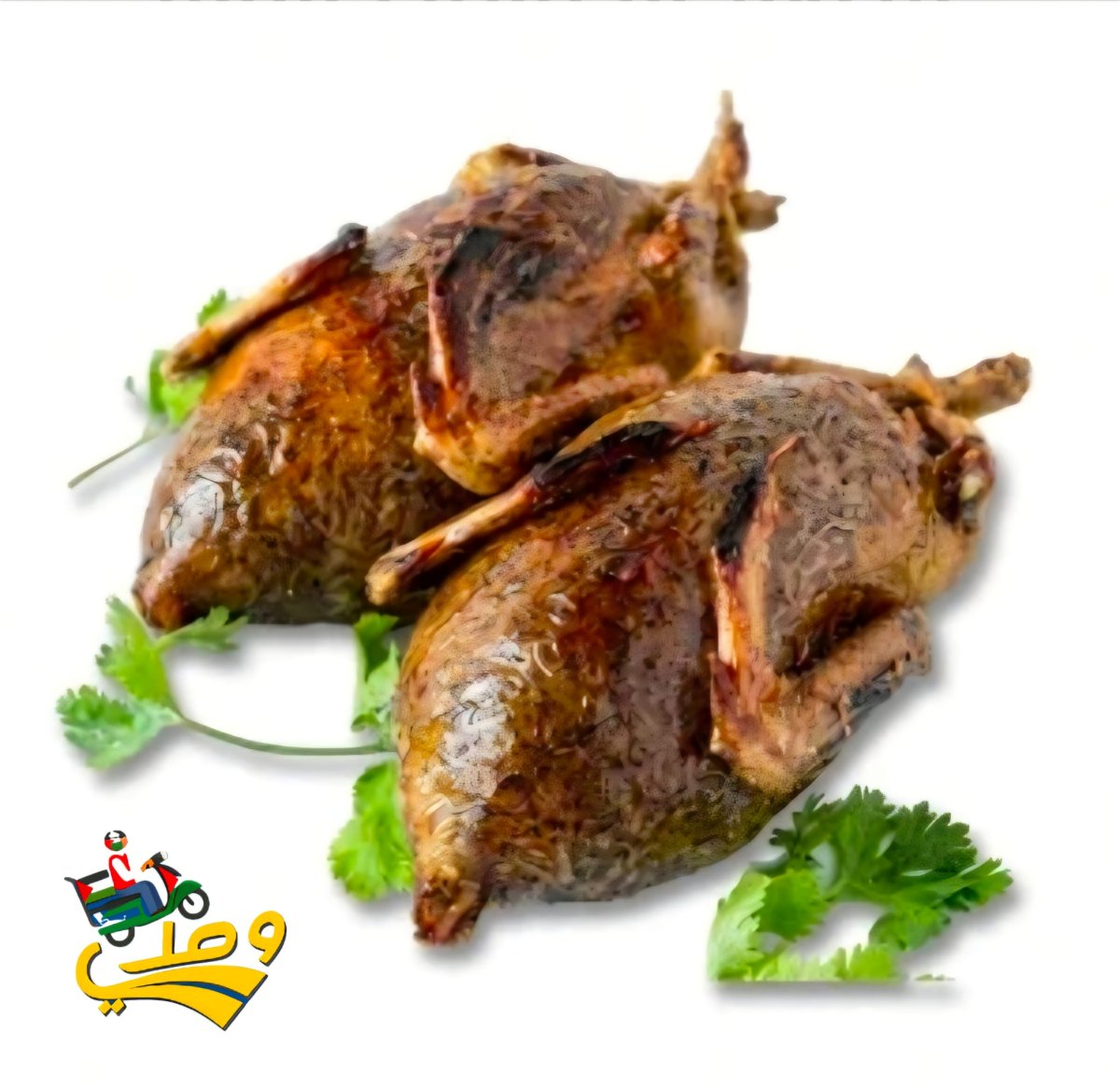 زغلول محشي